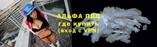 крисы Белоозёрский