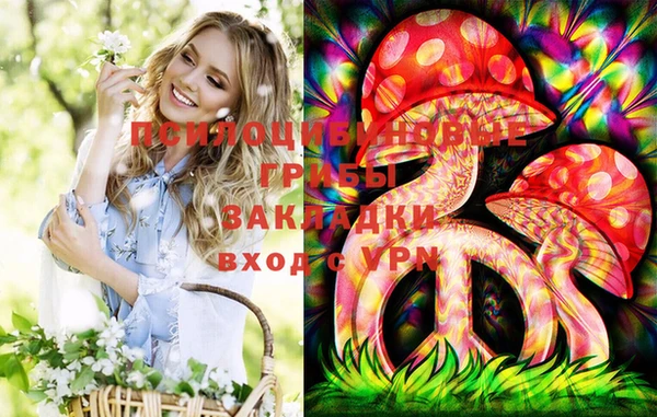 тгк Белокуриха