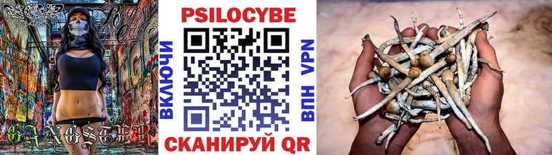 Галлюциногенные грибы Magic Shrooms  цена   Городовиковск 