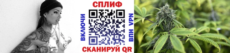 Каннабис марихуана  Городовиковск 
